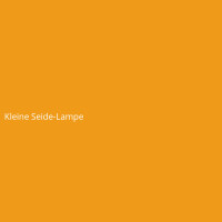 Kleine Seide-Lampe