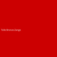 Tolle Bronze-Zange